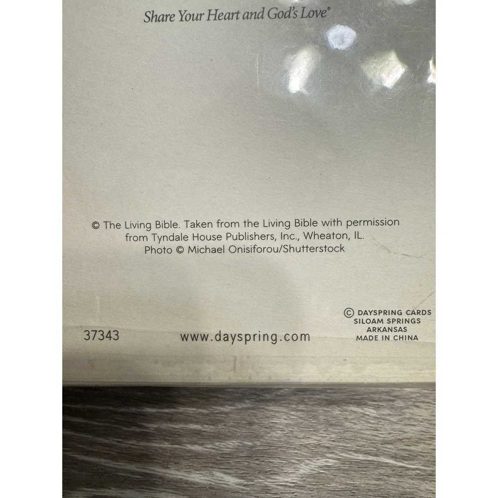 Set of 10 Religious SYMPATHY Cards +‎ Envelopes by Dayspring Silver Foil Blank
